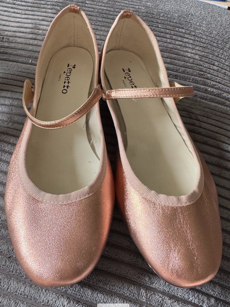 Repetto Pink Ballet Flats Size 40